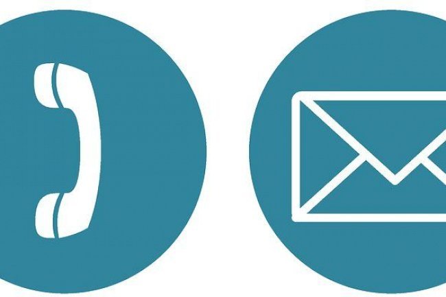 How to Get Director Contact Details in BULK?