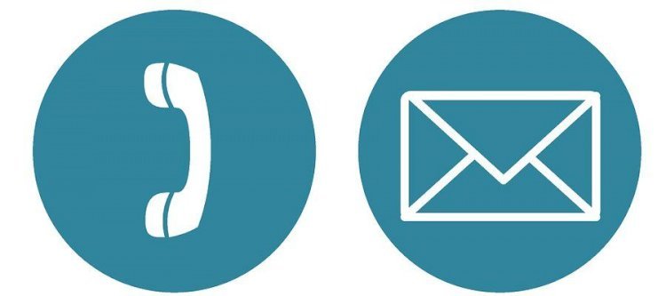How to Get Director Contact Details in BULK?